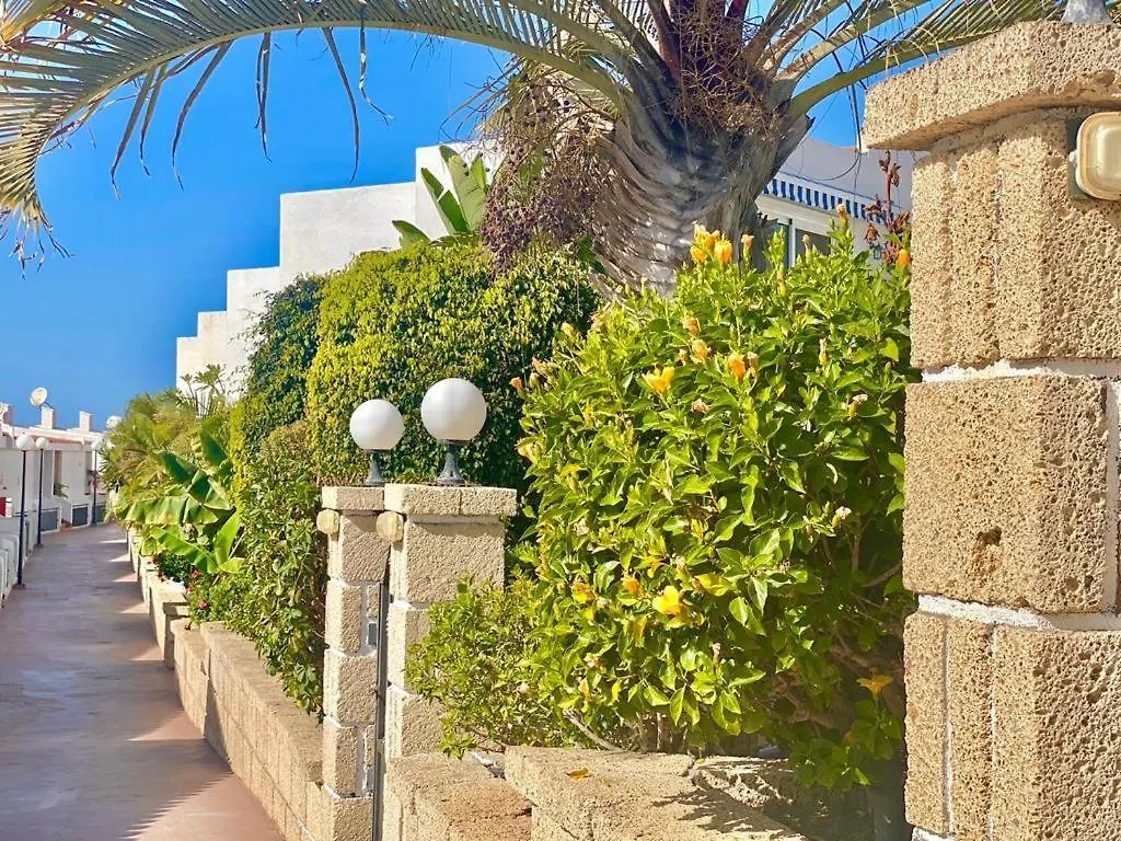 Wifi Studio Costa Adeje  Spagna